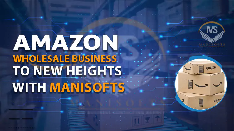amazon-wholesale-business-to-new-heights-with-manisofts-658b3a10701ee