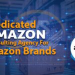 MANISOFTS GLOBAL AMAZON CONSULTING AGENCY FOR BIG BRANDS