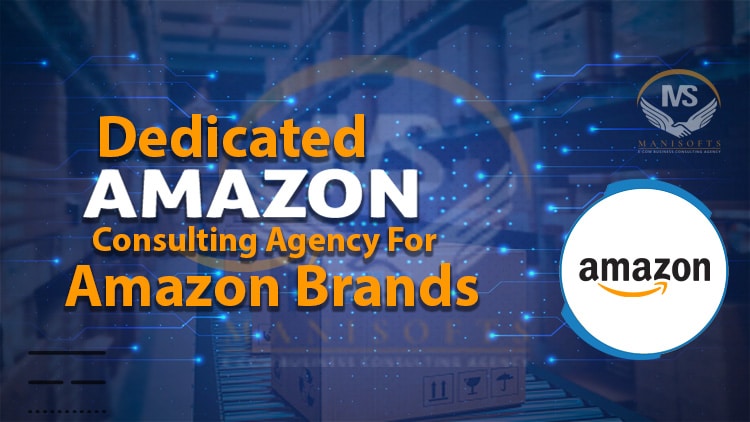 Amazon consulting Agency