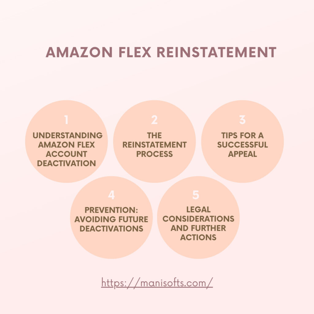 Amazon flex reinstatement