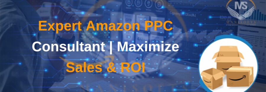 Amazon PPC Consultant