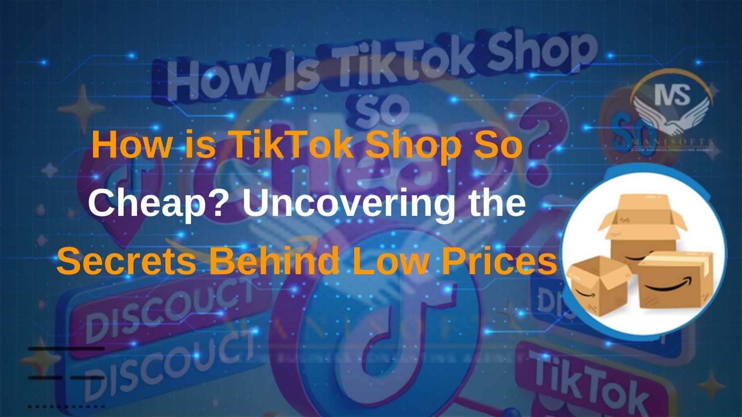 How is TikTok Shop So Cheap