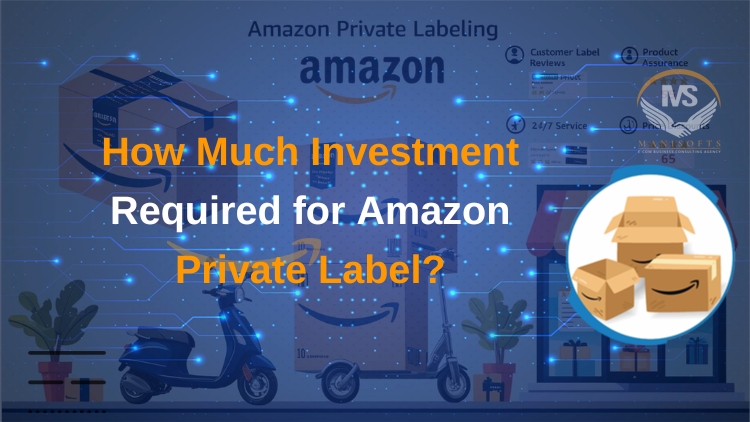 How Much Investment Required for Amazon Private Label